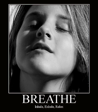 Article Catching Our Breath New Research Promises Custom Made Lungs